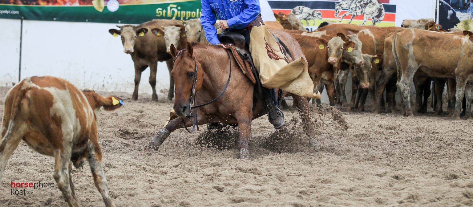 NCHA USA Earnings & Standings